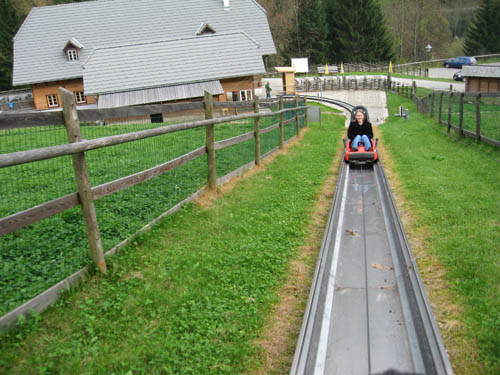 IMG_0990.jpg