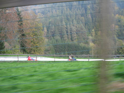 IMG_1014.jpg