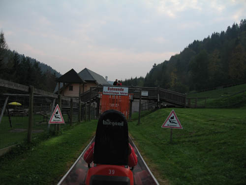 IMG_1017.jpg