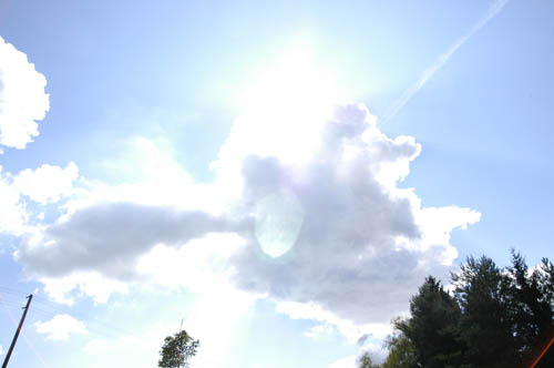 DSC_4274.jpg
