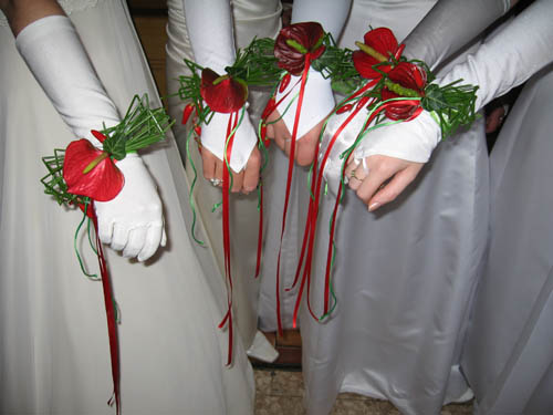 IMG_0047.jpg