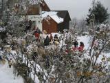 Bild 0