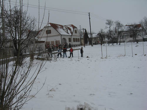 IMG_7385.jpg