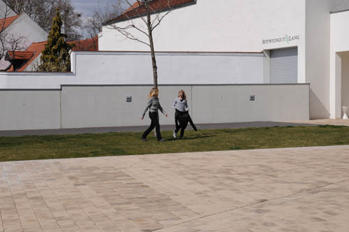 DSC_6994.jpg