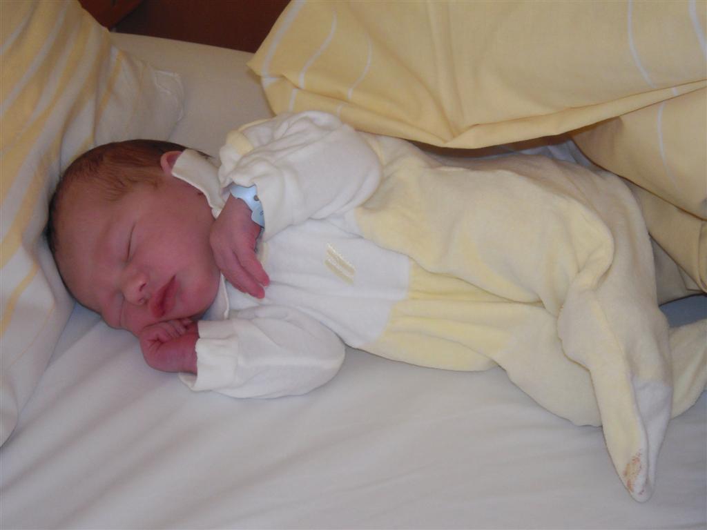 DSCN2061.jpg