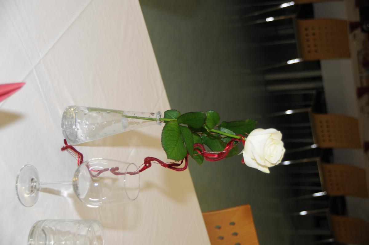 DSC_4430_1200x797.jpg