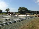 Bild 0