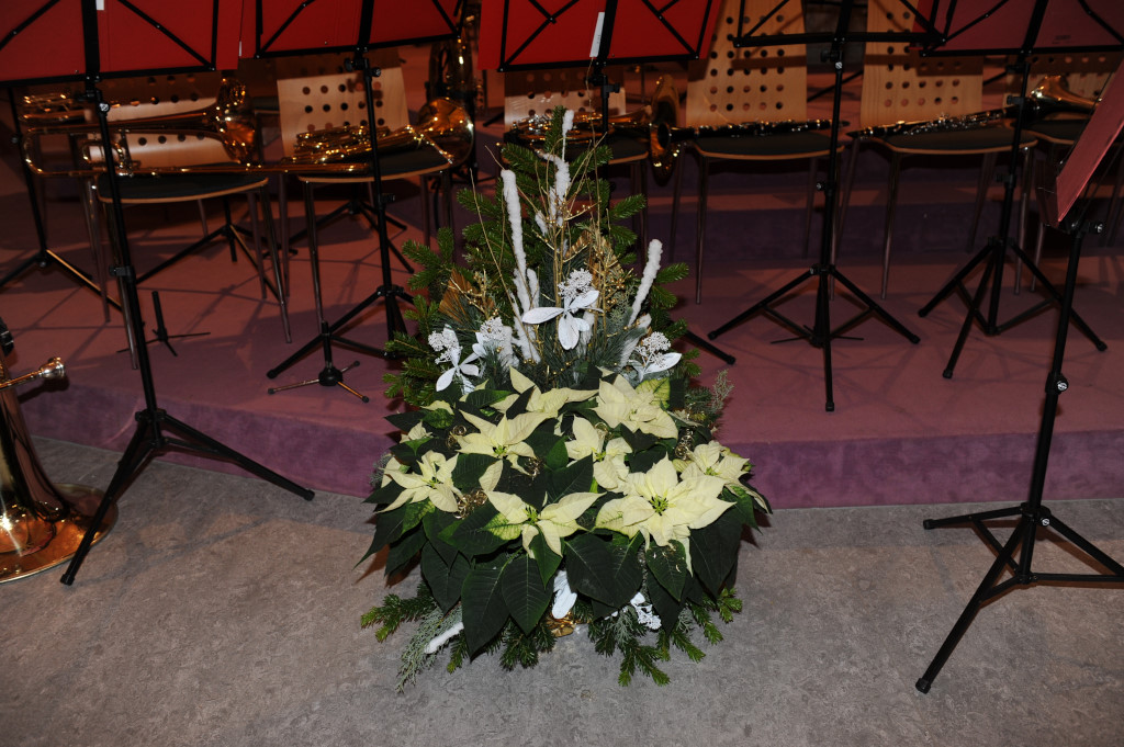 DSC_8462_1024px.JPG